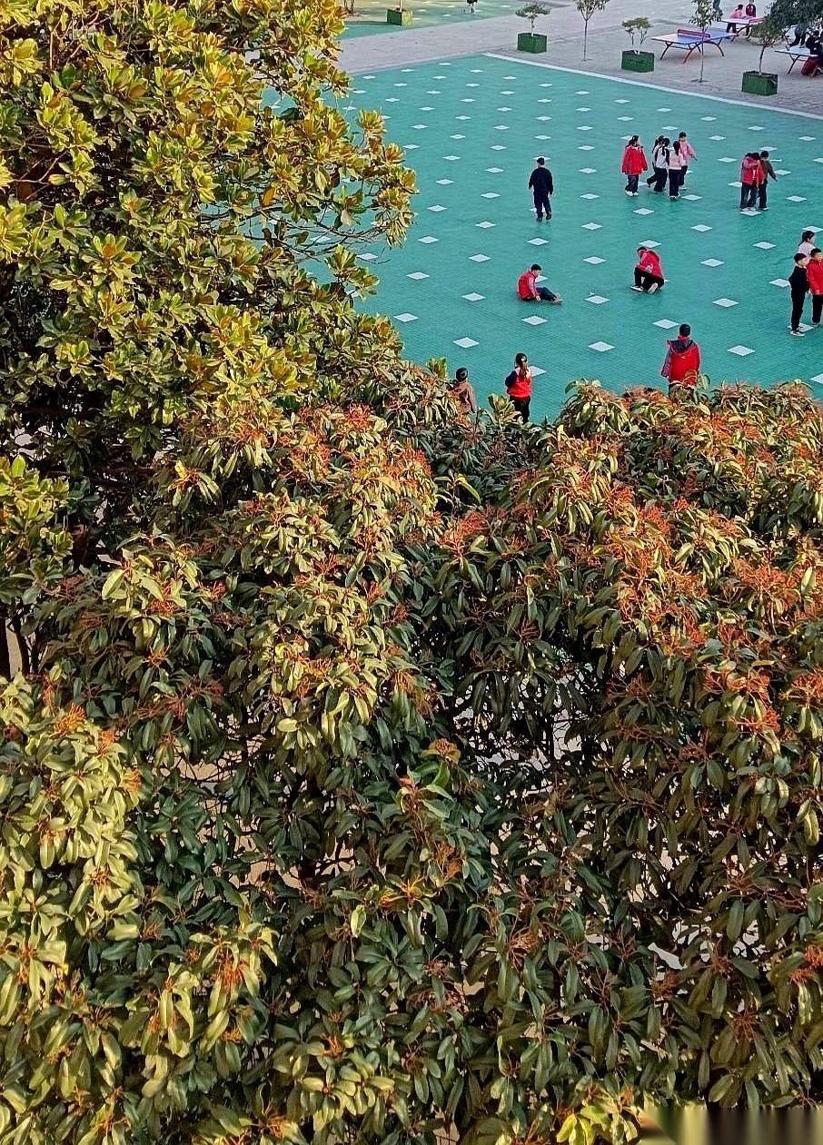 我们办公室有个老哥，绝了。今年60，本命年，本该退休回家带孙子了。结果呢？人