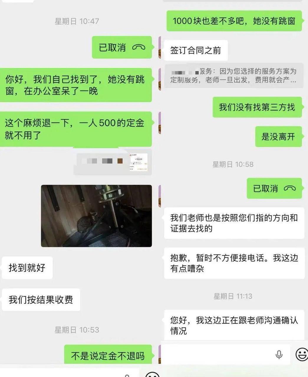 后续来了！上海陈女士花了8800元请人找猫，结果猫不是寻猫团队找到的，压根没离开