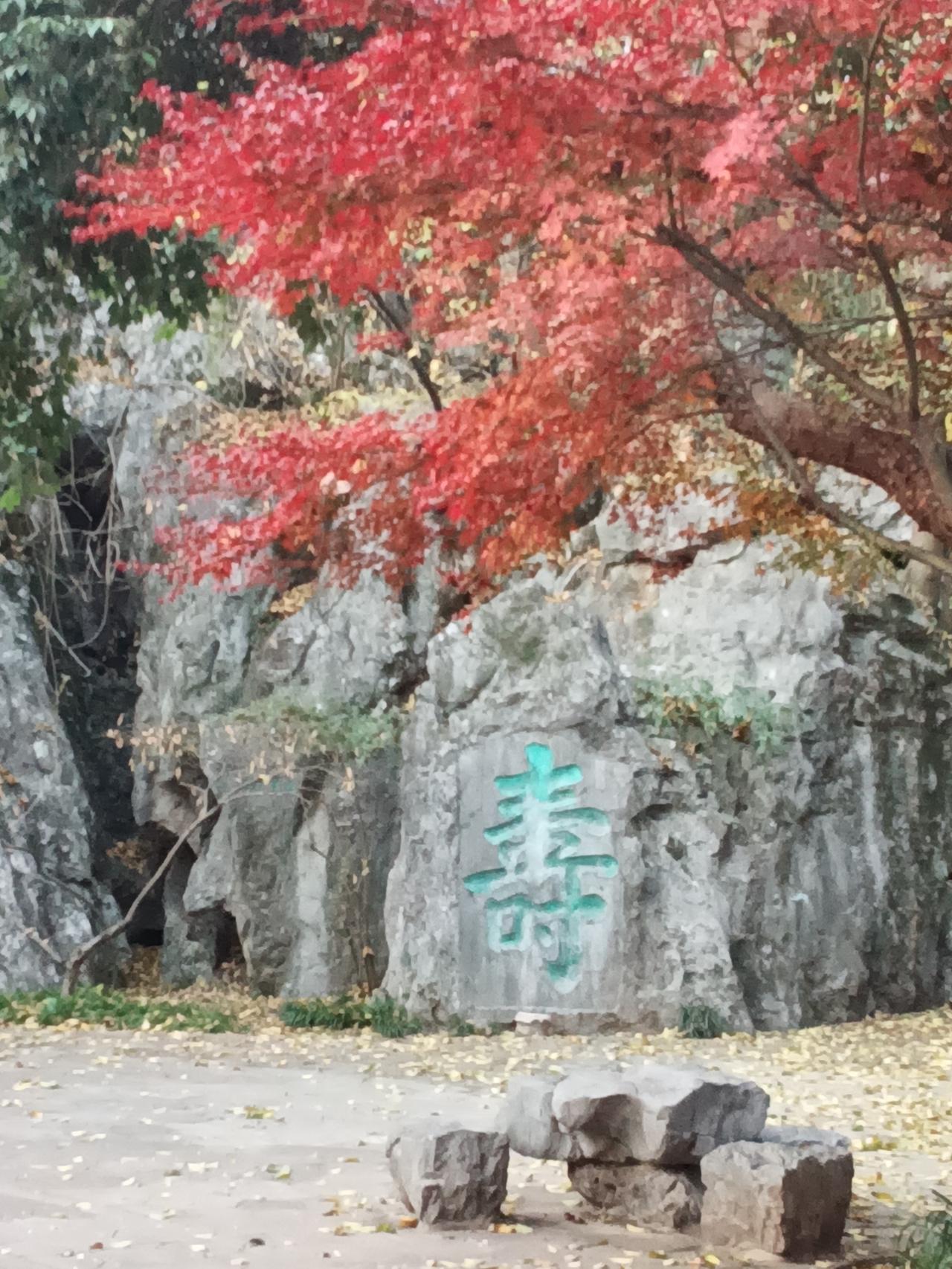 分享一张你摄影的照片红枫飘寿马蹄近，