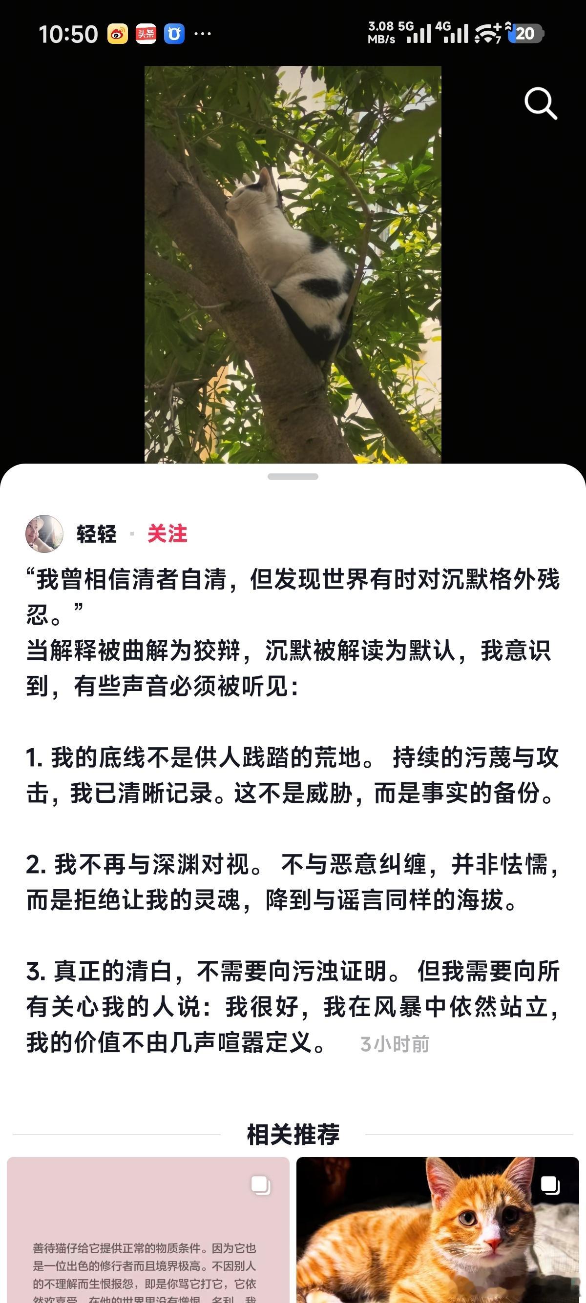 翻译一下，我实在是拿不出证据了，你们放过我吧但凡我有证据证明自己不是造谣，我立马