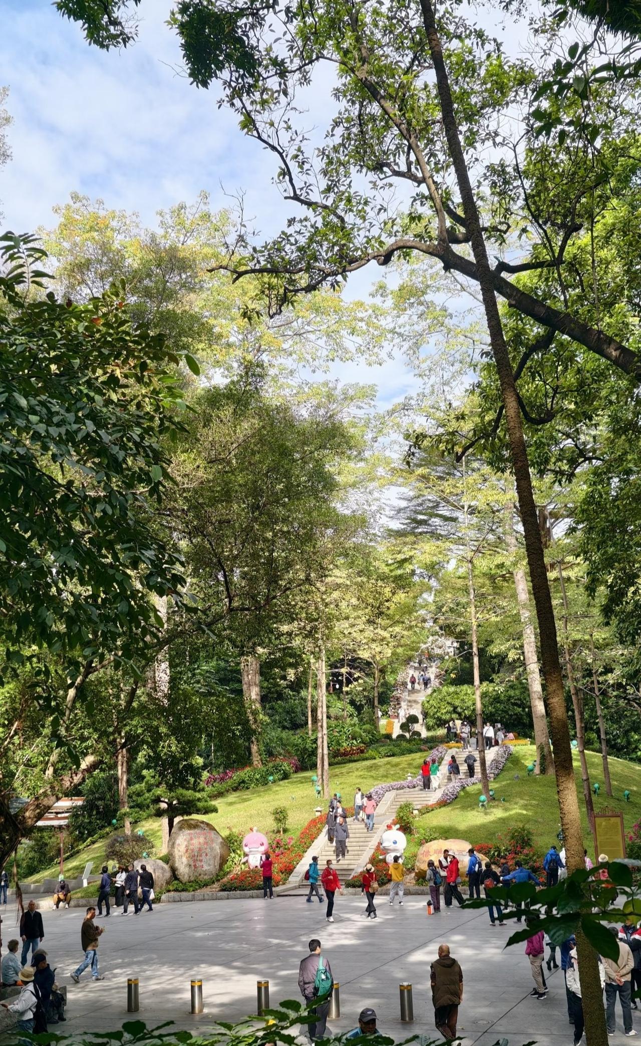 周末好去处‼️超酷云道穿越线8km连玩👏📍广州越秀公园-广州云道去湖州