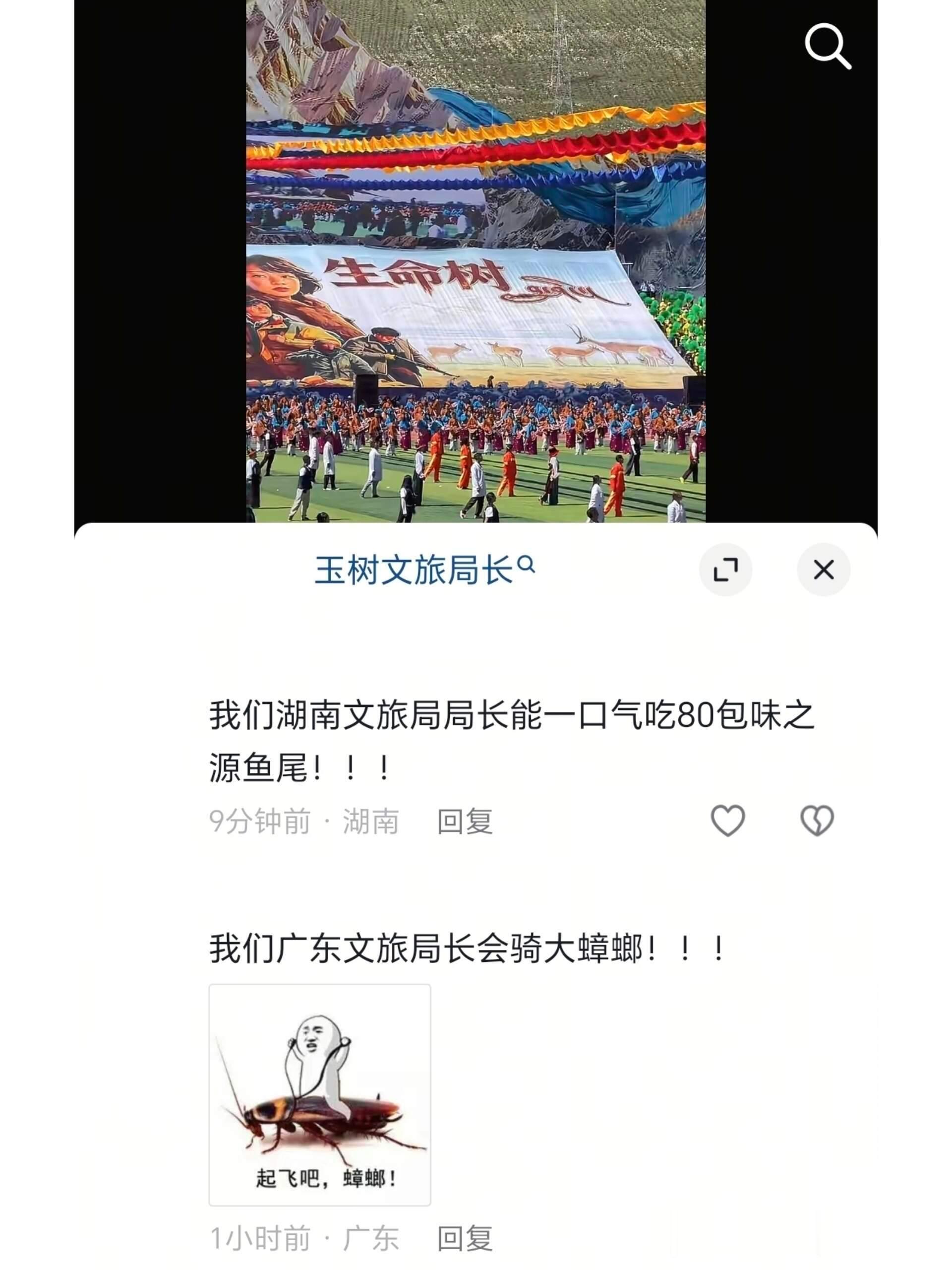 你们这么宣传文旅局局长知道吗哈哈哈哈