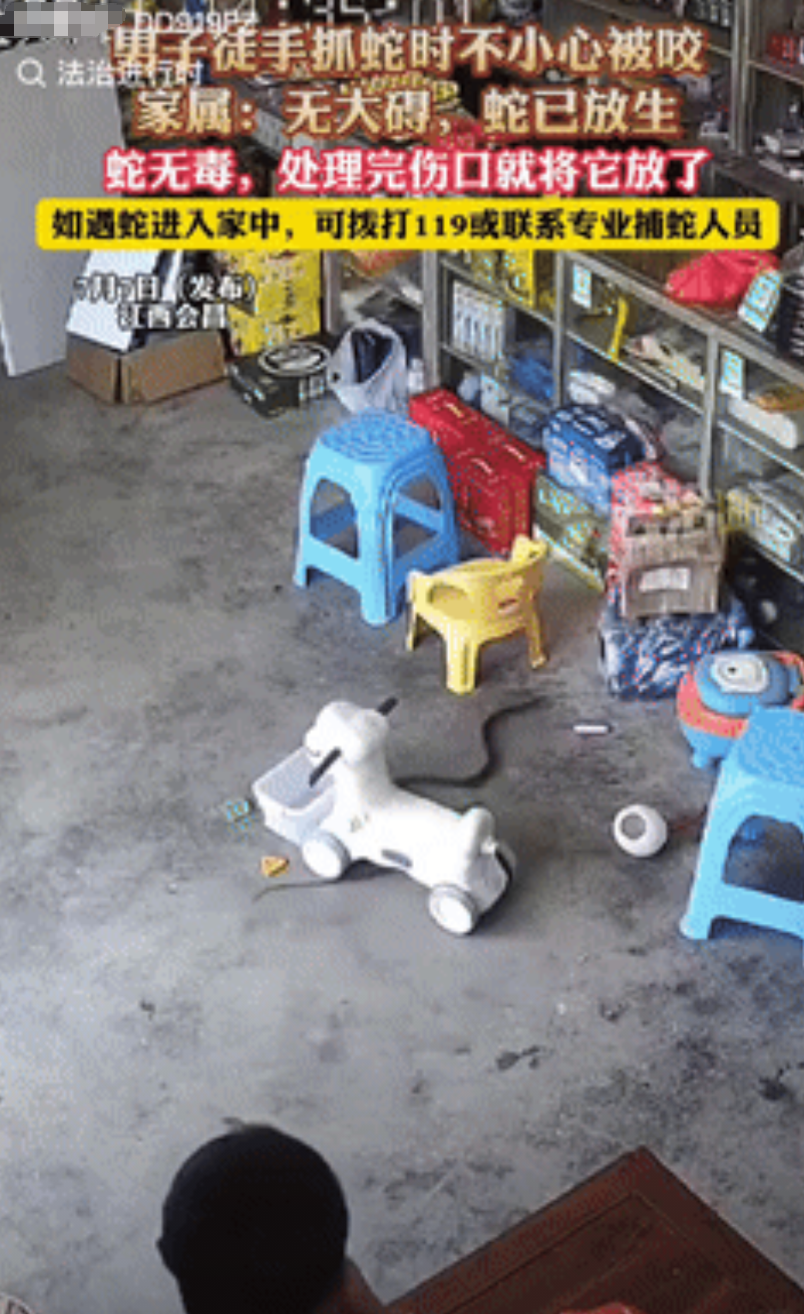 “胆真大！”江西会昌，一男子在自家商店，发现地上有蛇后，立马上前徒手抓蛇，为防止