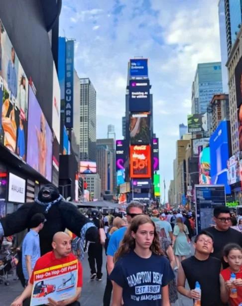 2026中美日GDP格局生变：美冲25万亿、日跌出前五，中国稳得亮眼！全球