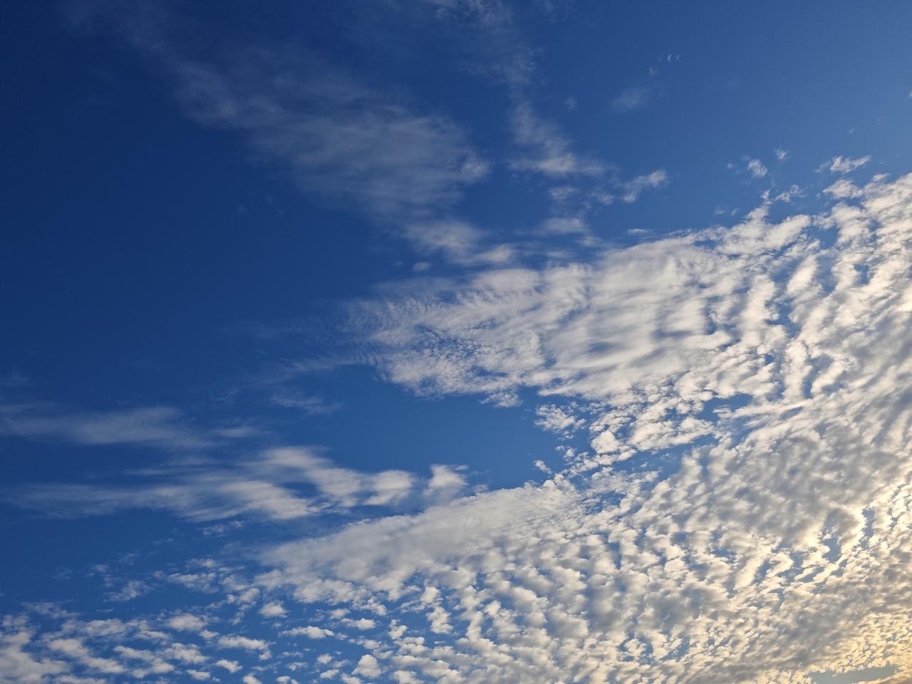 明天回老家，本来想找个顺风车回去，只是发了订单，已经一个下午了，都还没有人接单，