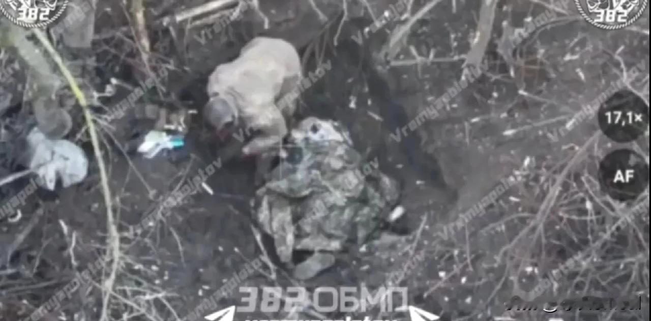 苏梅州霍京镇方向令人揪心的一幕:一名近60岁满头白发的乌克兰士兵为他同是白发的乌