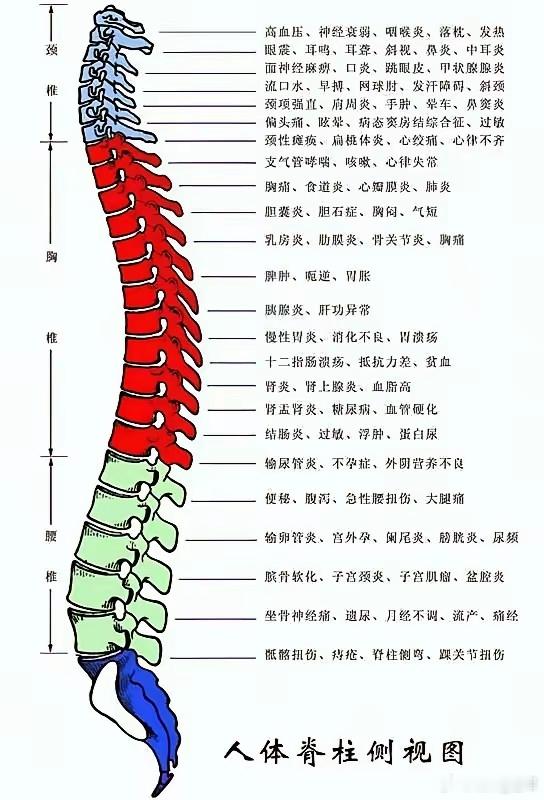 “寸强尺弱，气机上逆”是中医脉诊与病机分析中常见的描述，多与肺胃气逆或肝肾不足、