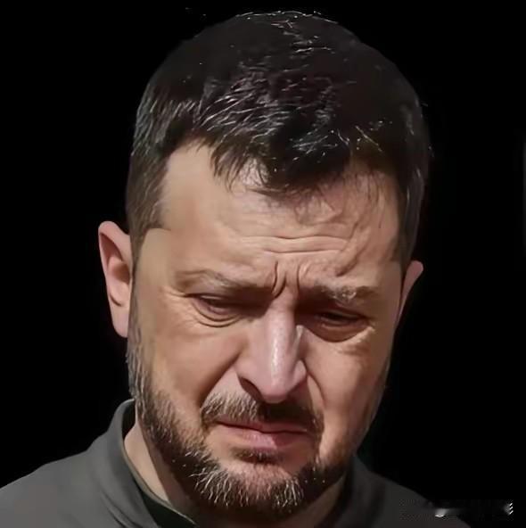 其实谁都没资格指责泽连斯基泽连斯基在俄乌谈判里死活不肯割让土地，不少人都觉得他