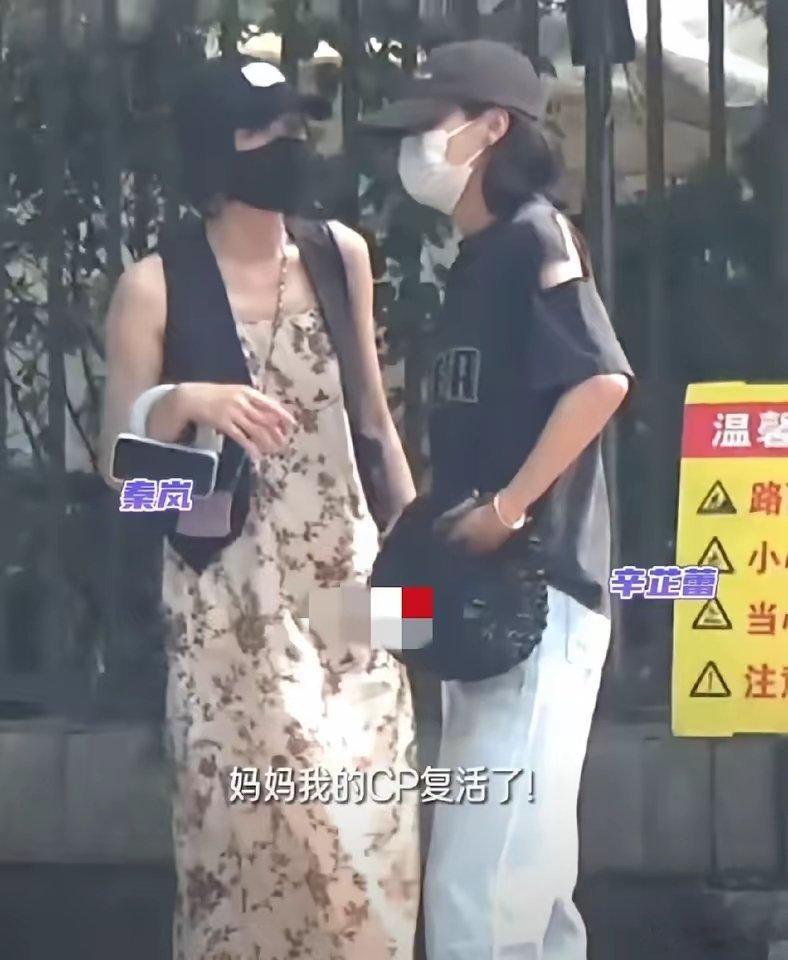 秦岚辛芷蕾又被拍到了一起在街头散步，两人仿佛有说不完的话，走一会就要停下来讲一会
