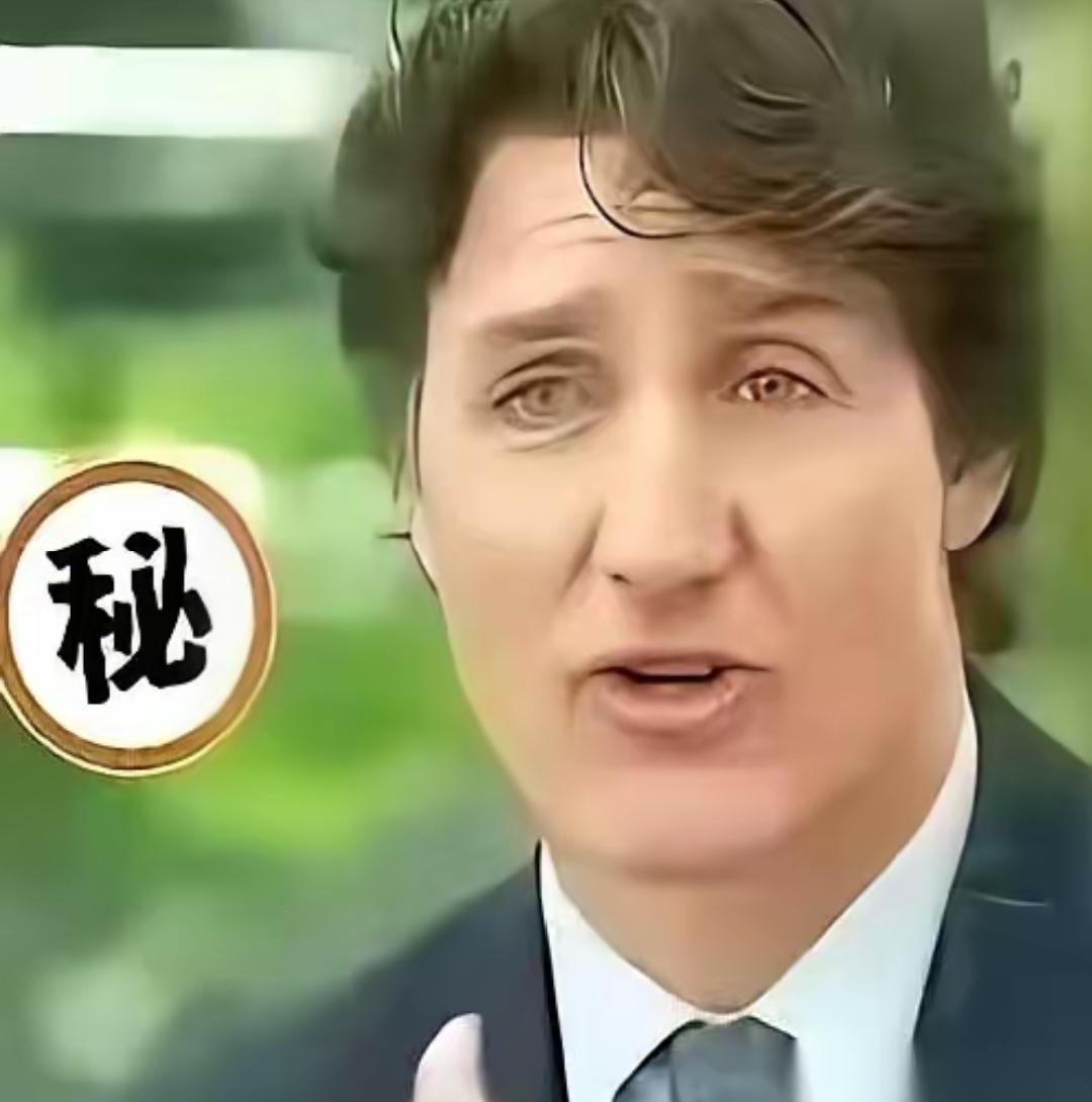 加拿大前总理特鲁多，对着新加坡的镜头，直接把话给挑明了：当年是美国，硬生生把我们