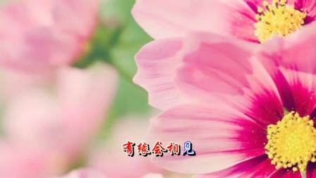 放下难舍的缘简谱_放下难舍的缘图片(2)