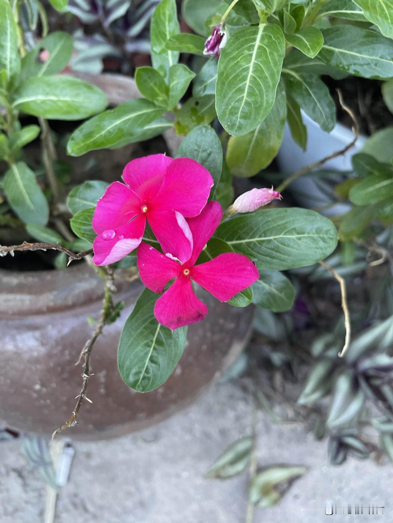 这种男人真的很丢人。一男子，和老婆结婚6年，一分钱没给老婆养家，自己存着，现在，