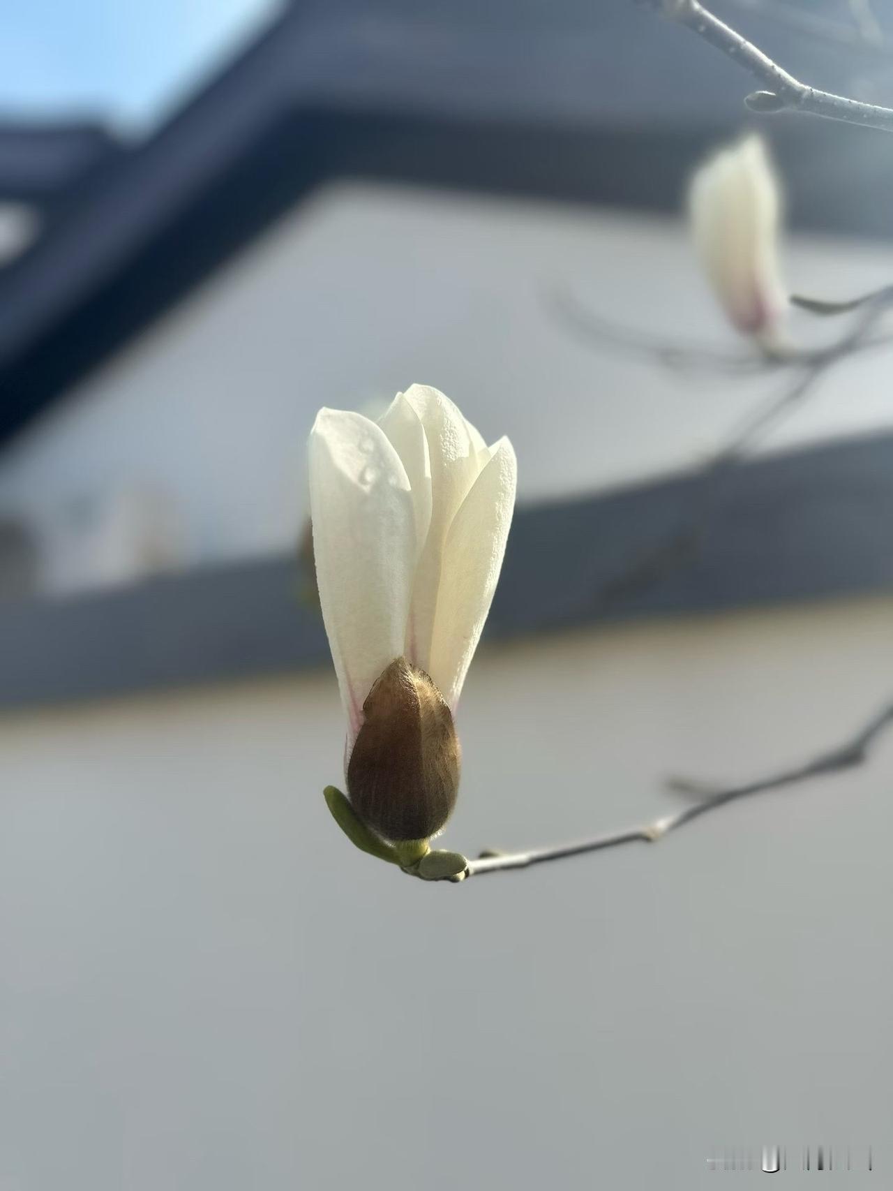 为啥你天天拼命干活，就是赚不到大钱？要么累死累活拿点死工资，要么跟风做副业，