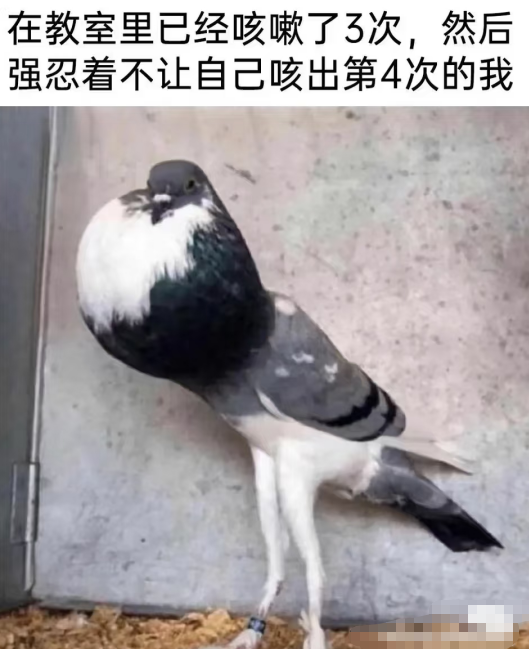 啥时候能不笑阿