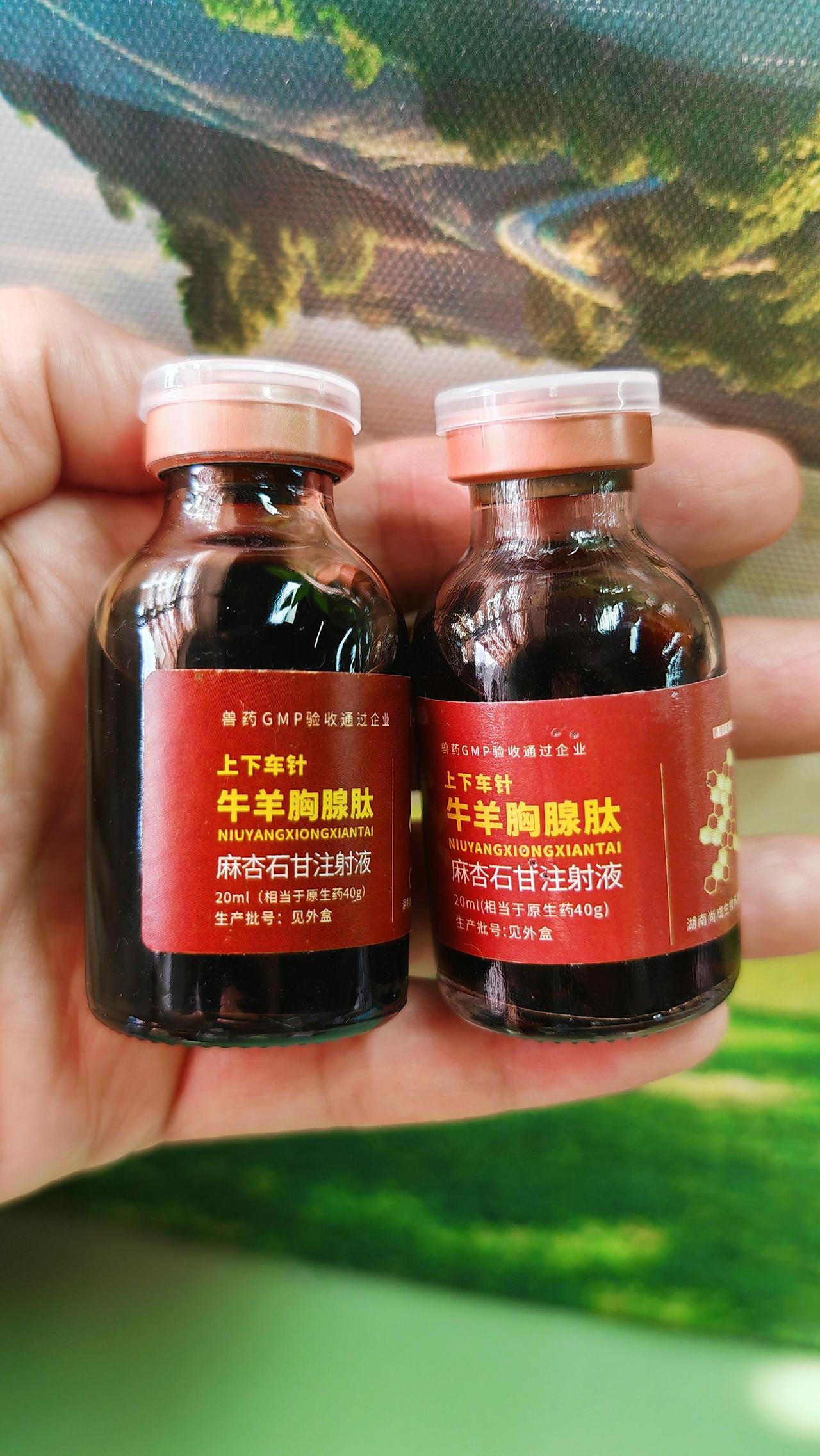 养羊人农村养羊牛羊养殖