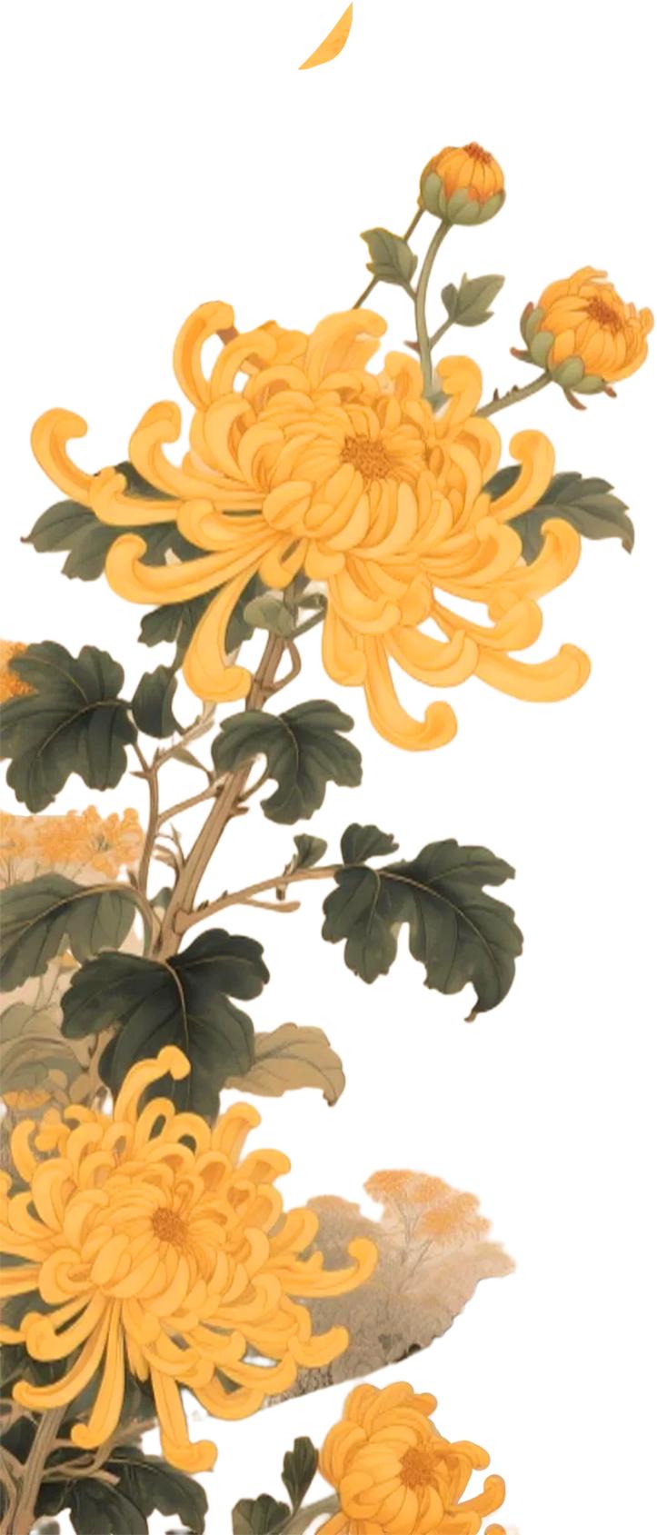 话重阳，品美酒，登高望远赏金秋。重阳节至，秋意正浓时，送上真诚的祝福，祝天下老年