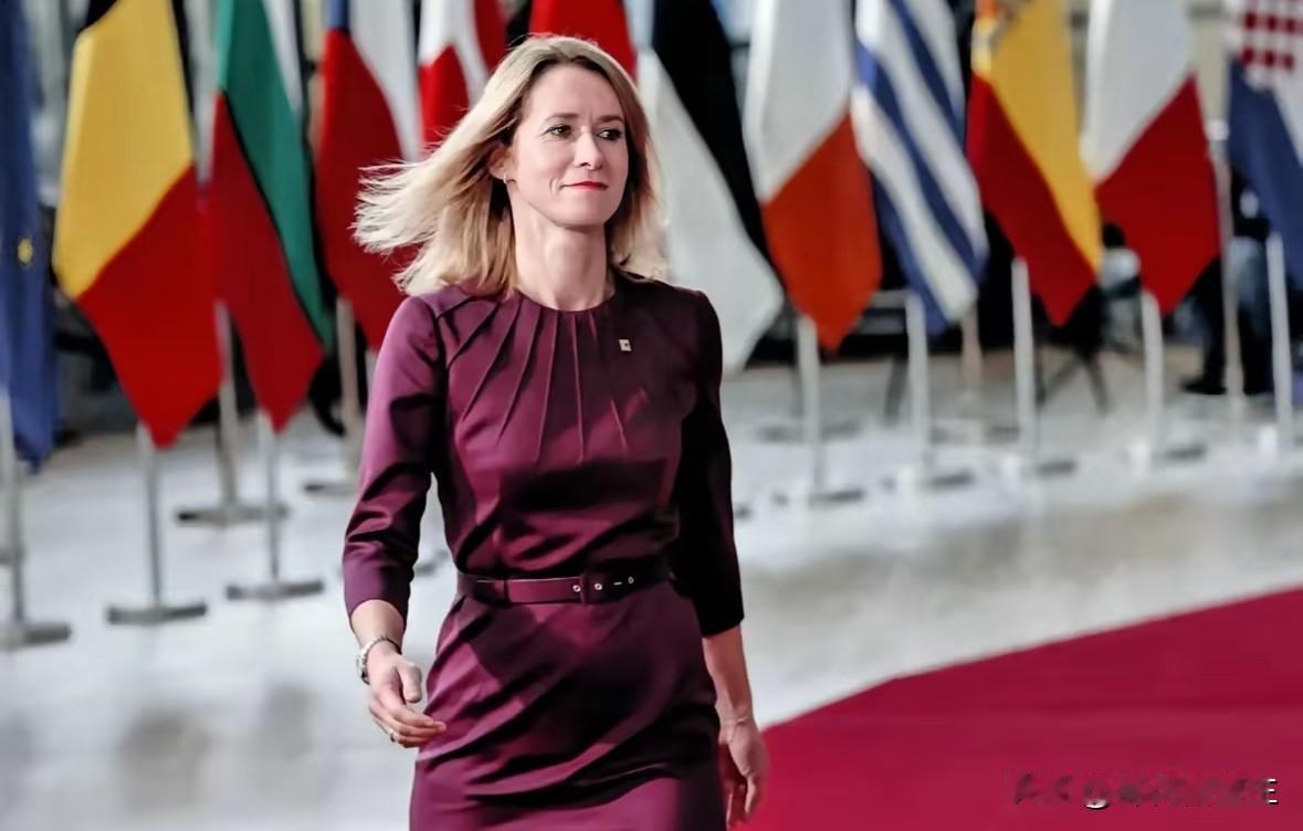 欧盟新外长路子太野！欧盟新外长卡拉斯这操作，真是刷新了外交底线！作为爱沙尼亚前