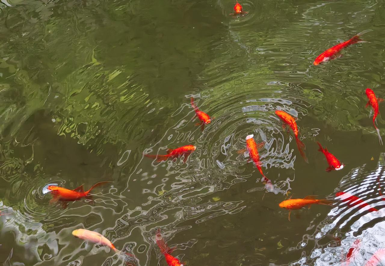 李姐去年退休了，55周岁，中级职称，退休工资具体多少不知道，但是八九千肯定有。退