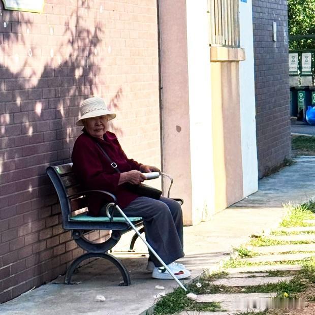 我妈这个老太太，又在我这儿待不住了。老母亲今年86岁，居住在辽宁抚顺市，前些