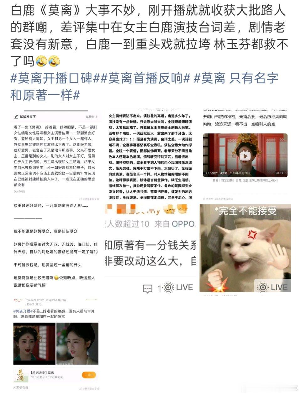 白鹿演技群众的眼光是雪亮的