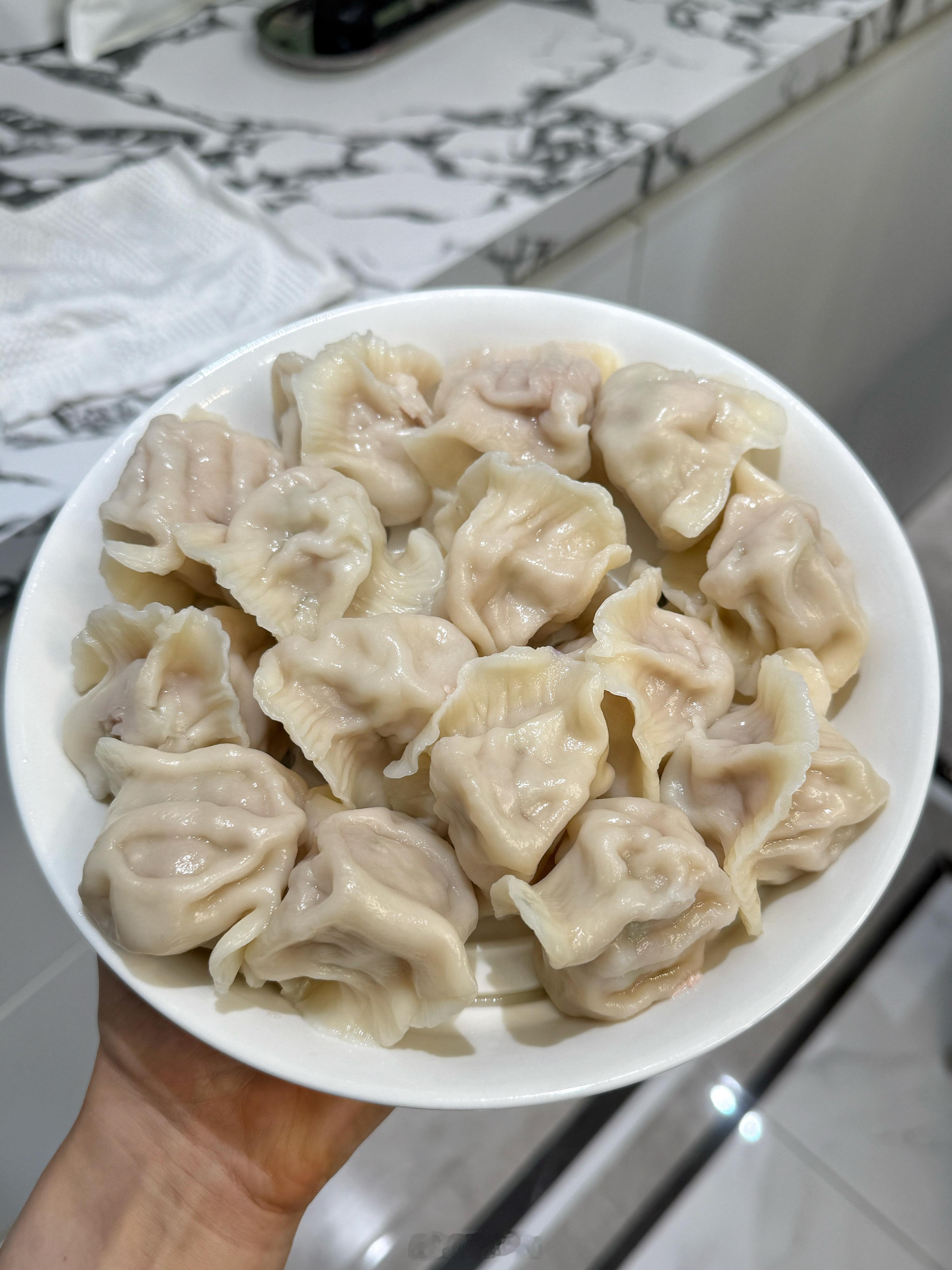 茴香猪肉馅饺子🥟永远无法拒绝一口爆汁儿的大肚水饺！思念冷鲜肉水饺更好吃​​​