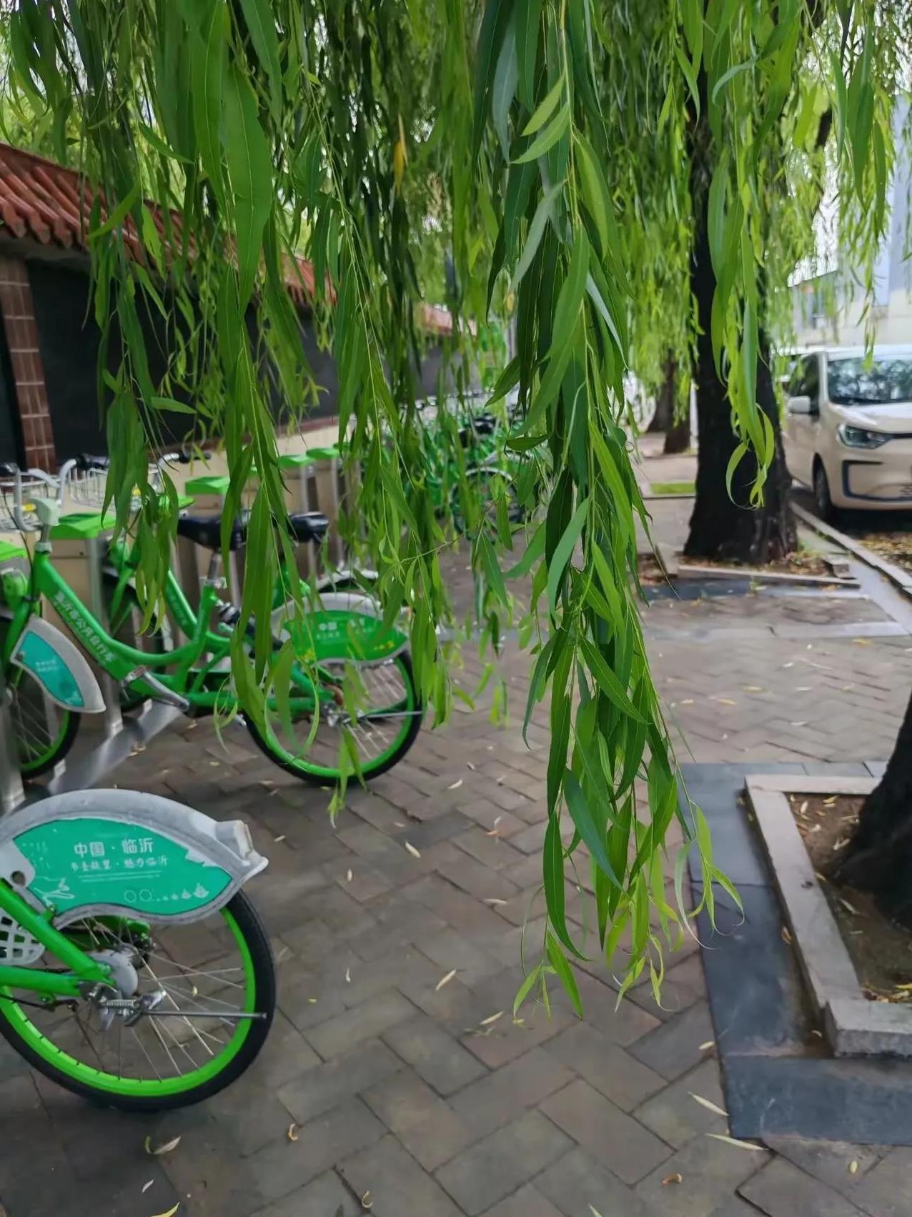 醍醐灌顶的一段话：“哪怕你是家里唯一有觉知的人，也不要想着去改变家人，因为，人这