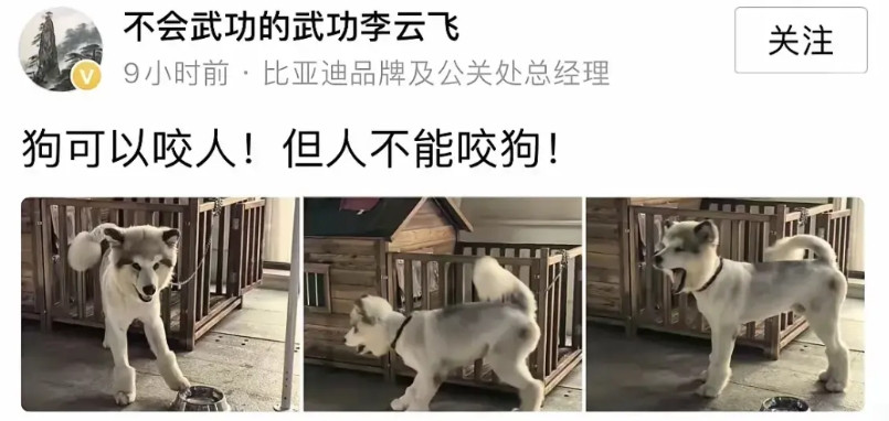 合适，太合适了！比亚迪如果不回怼，迪黑就会说，比亚迪都不敢回应，说明默认了！