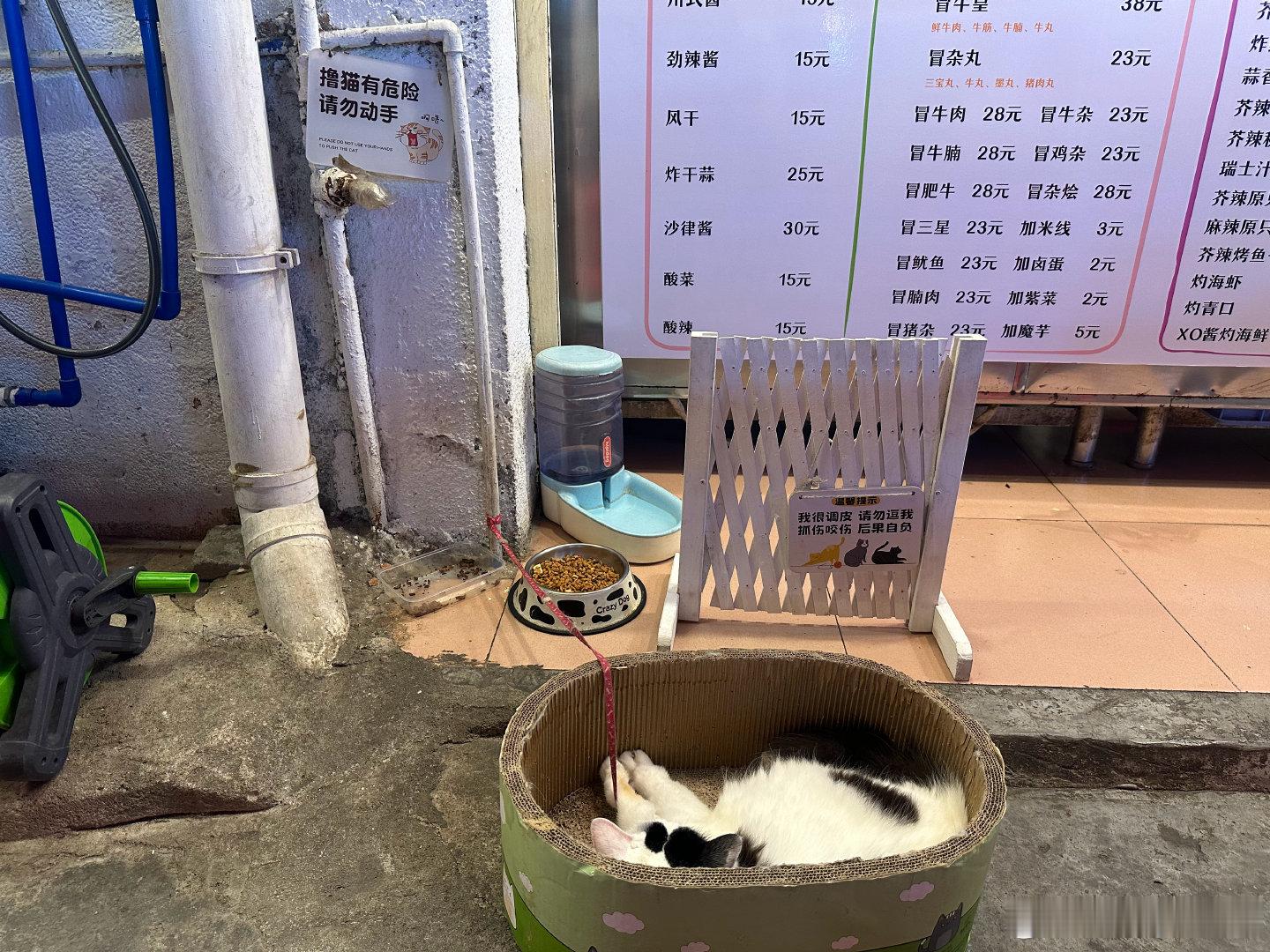 大学时候的快乐老家广州