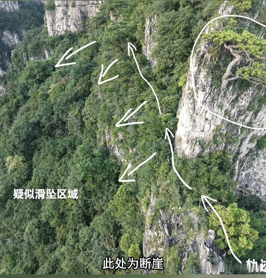 图一就是现在分析出来的程梦圆疑似坠崖的区域，这是一处断崖，下边草深林密，无人机热