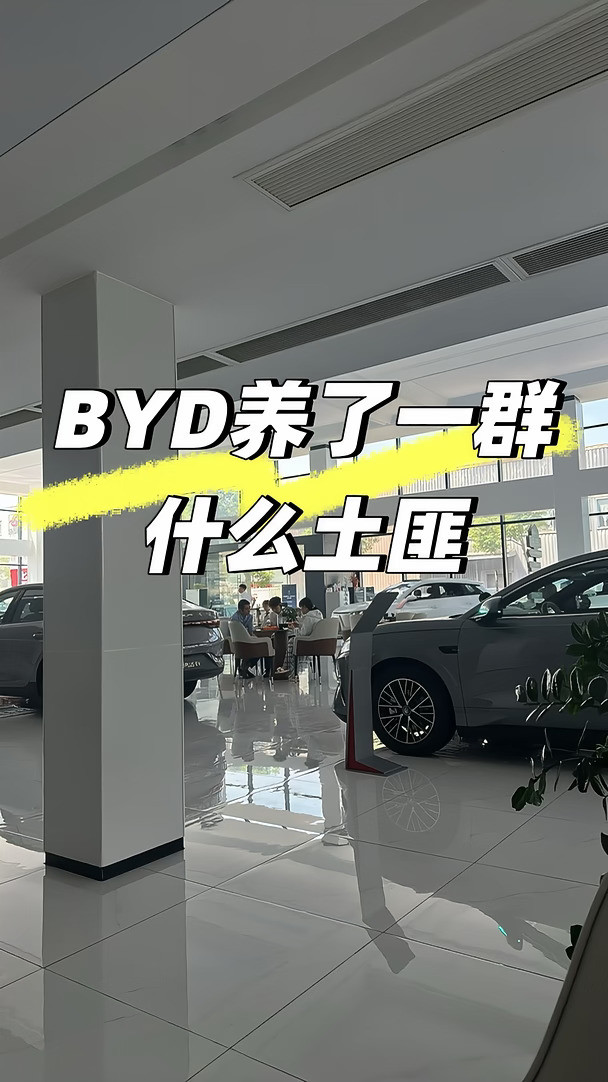 比亚迪维权