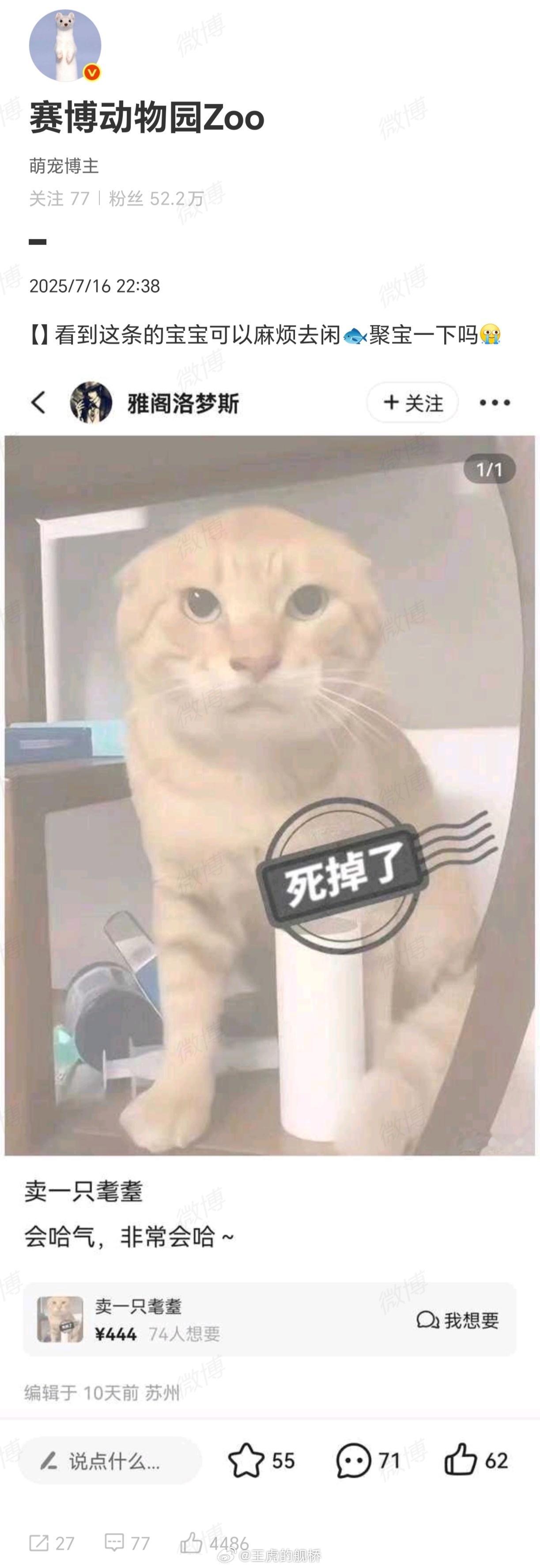 举报什么？举报猫虐人吗？😭​​​