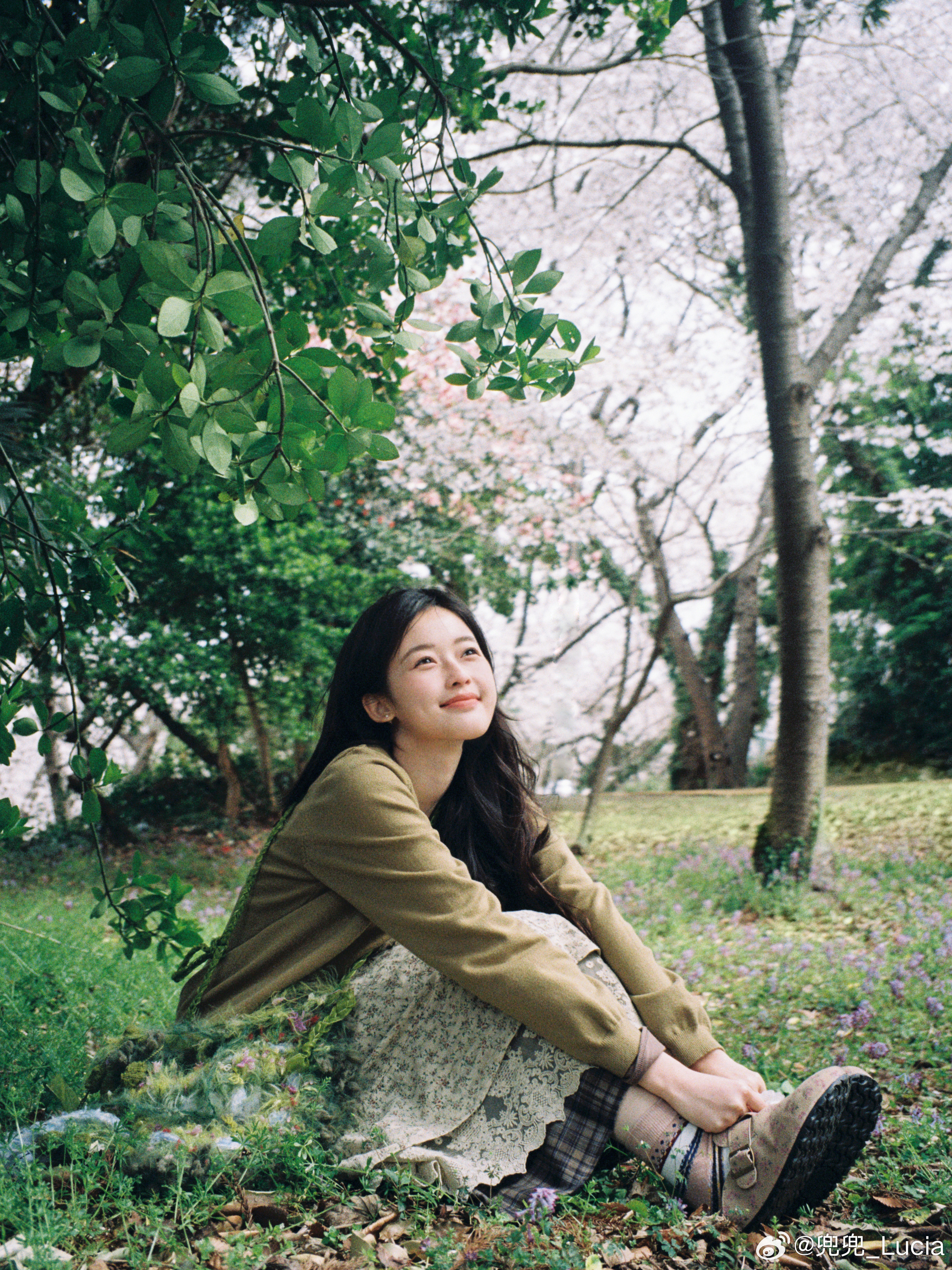 在春天的济州岛按下的快门🌸济州岛春天治愈系摄影​​​