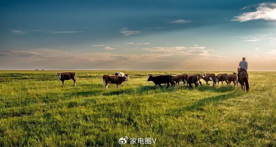 企业自补20%纷纷接档家电国补政策
