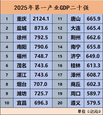全国10强南阳名列第四！有这样一份榜单：2025年第一产业GDP二十强强城市排