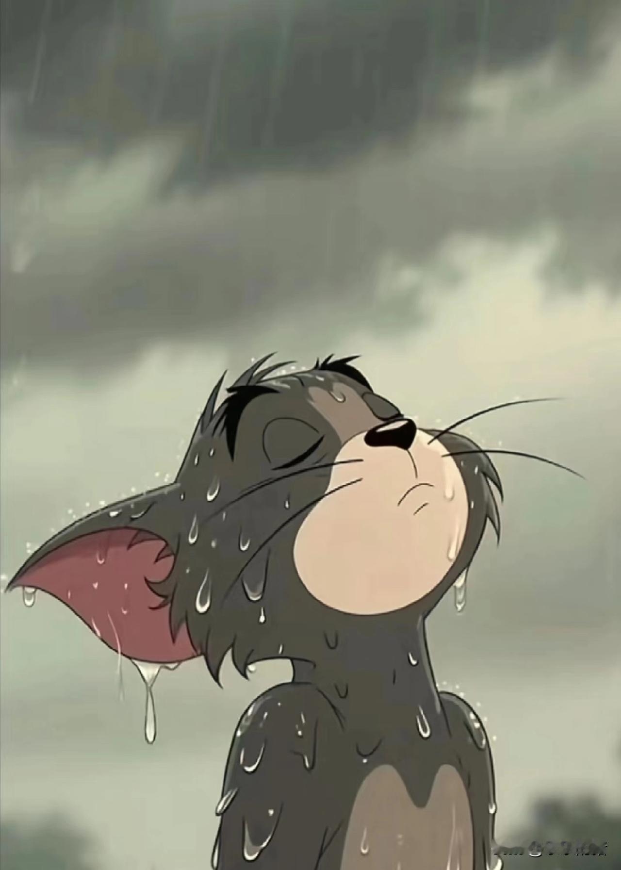 我姥娘一辈子是老实人，没点脾气。但是去世后，家里人除了我妈以外所有人都非常害怕。