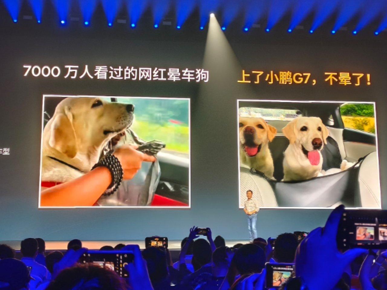 狗坐小鹏G7都不晕车😂😂😂​​​
