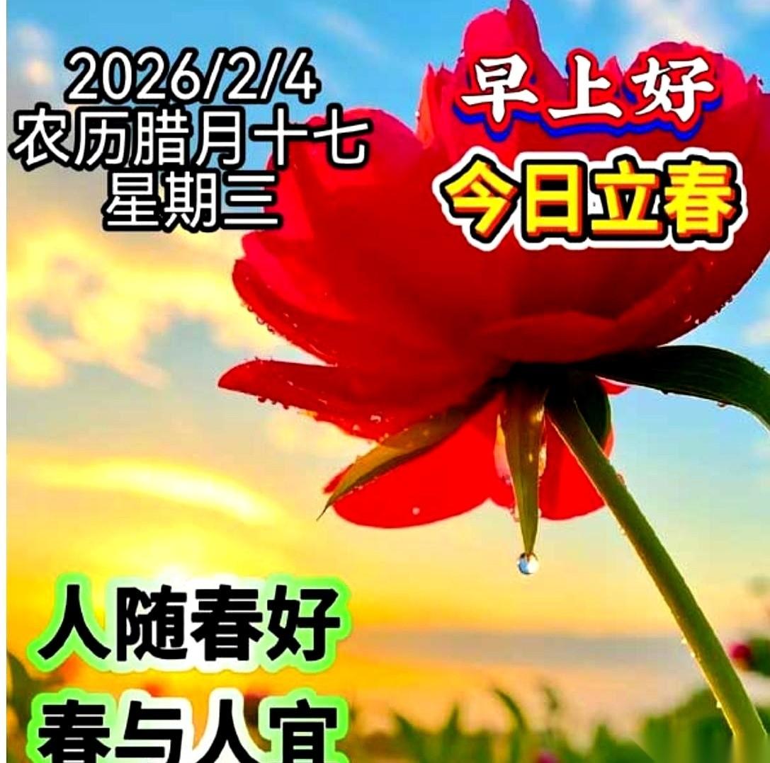 朋友圈里千篇一律的“立春快乐”，看得我都有点麻木了。好像春天是什么开关一样，一