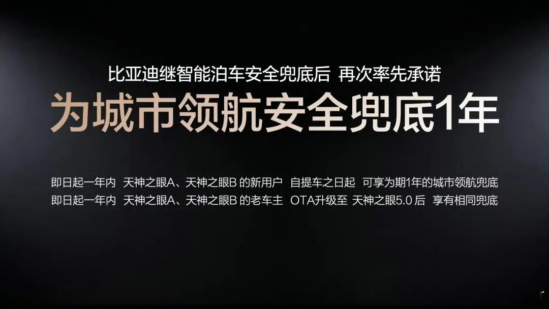 王传福说敢兜底才是真安全求解：两天没上网，为啥都在质疑比亚迪不兜底高速辅助驾