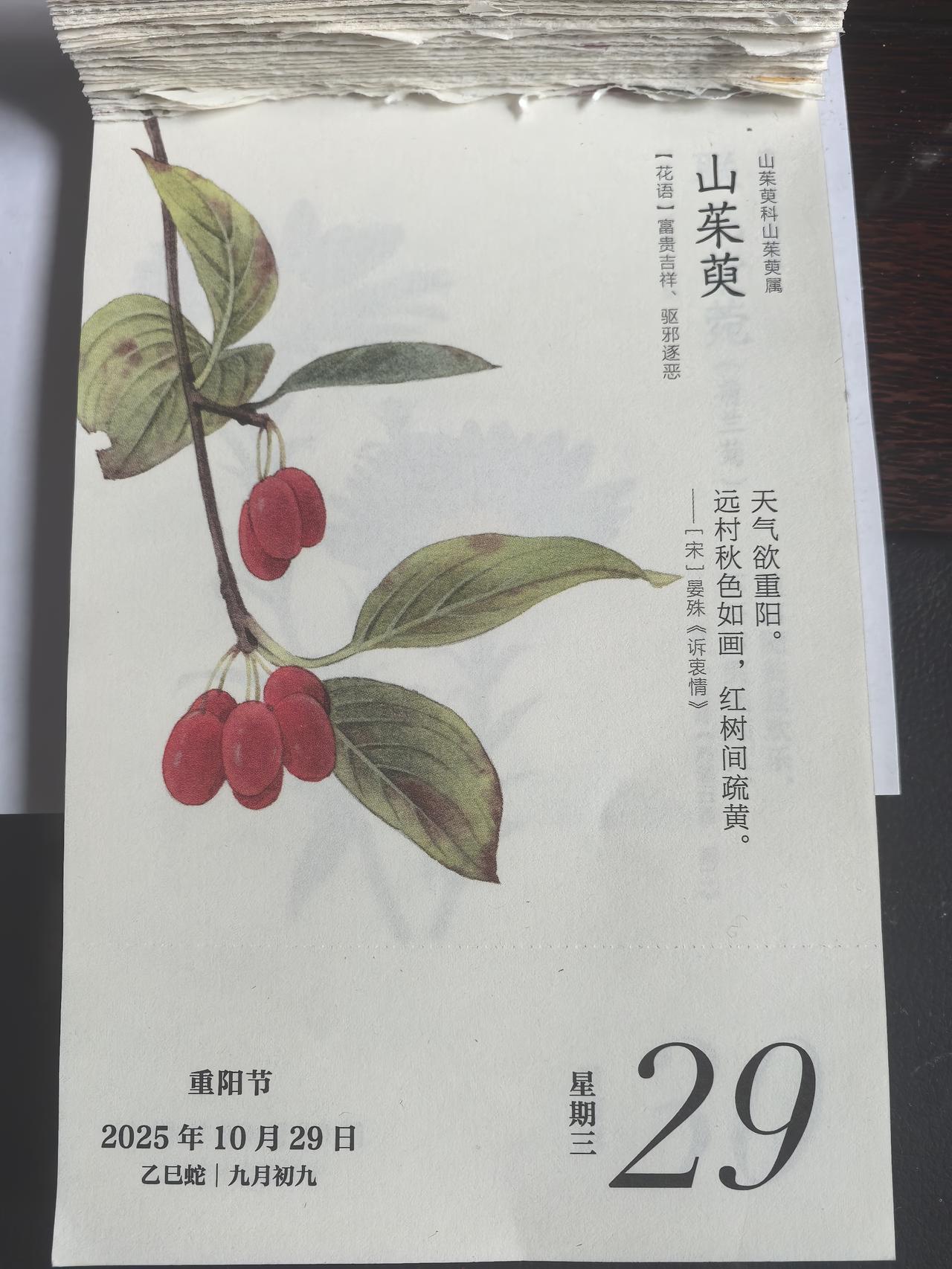 今日重阳节，想起杜牧的诗《九日齐山登高》全诗内容为：江涵秋影雁初飞，与客携壶上翠