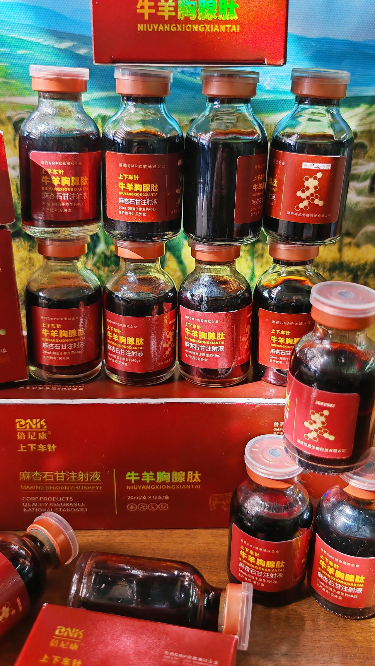 养羊人牛羊养殖农村养羊