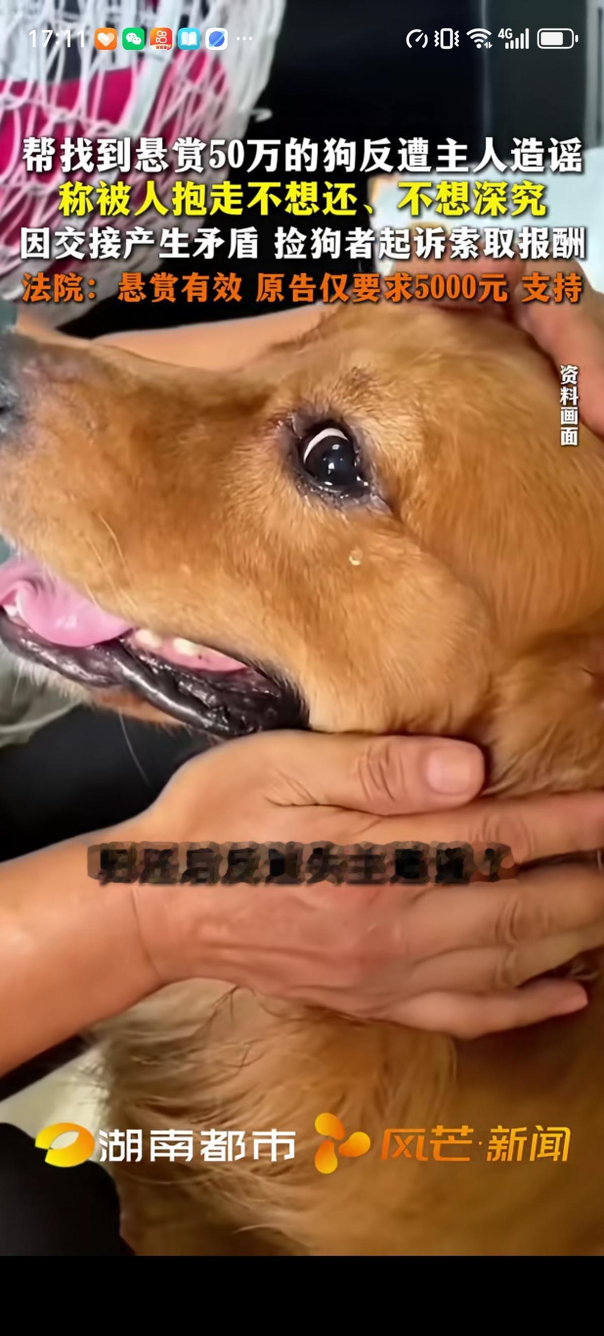 信阳的小刘在爱犬丢失后发布50万悬赏找狗启示，同市小赵捡到狗后归还。小刘给了50