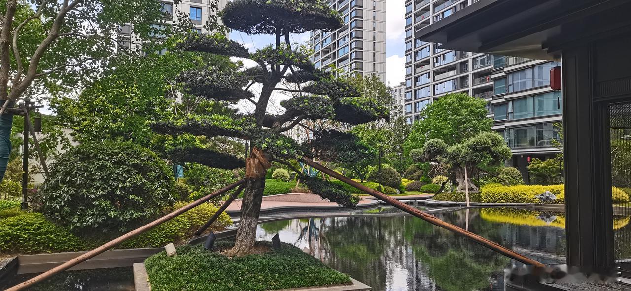 宁波的中铁建未来视界，台州的建发漫云，同样的2万元左右单价，产品力差距那不是一般