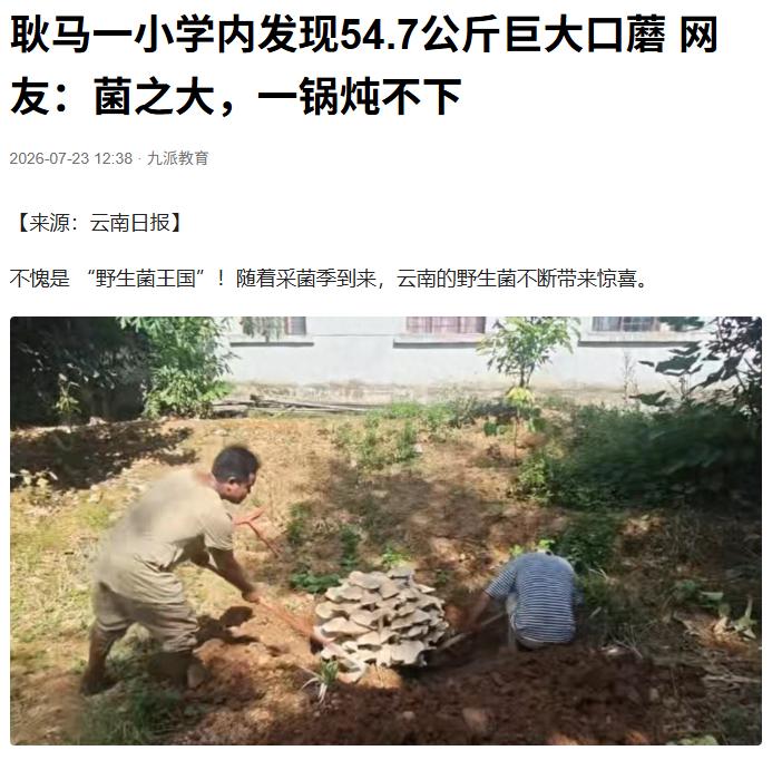 54.7公斤巨型菌子长在小学操场，学校这波操作没让人失望。天下之大无奇不有！