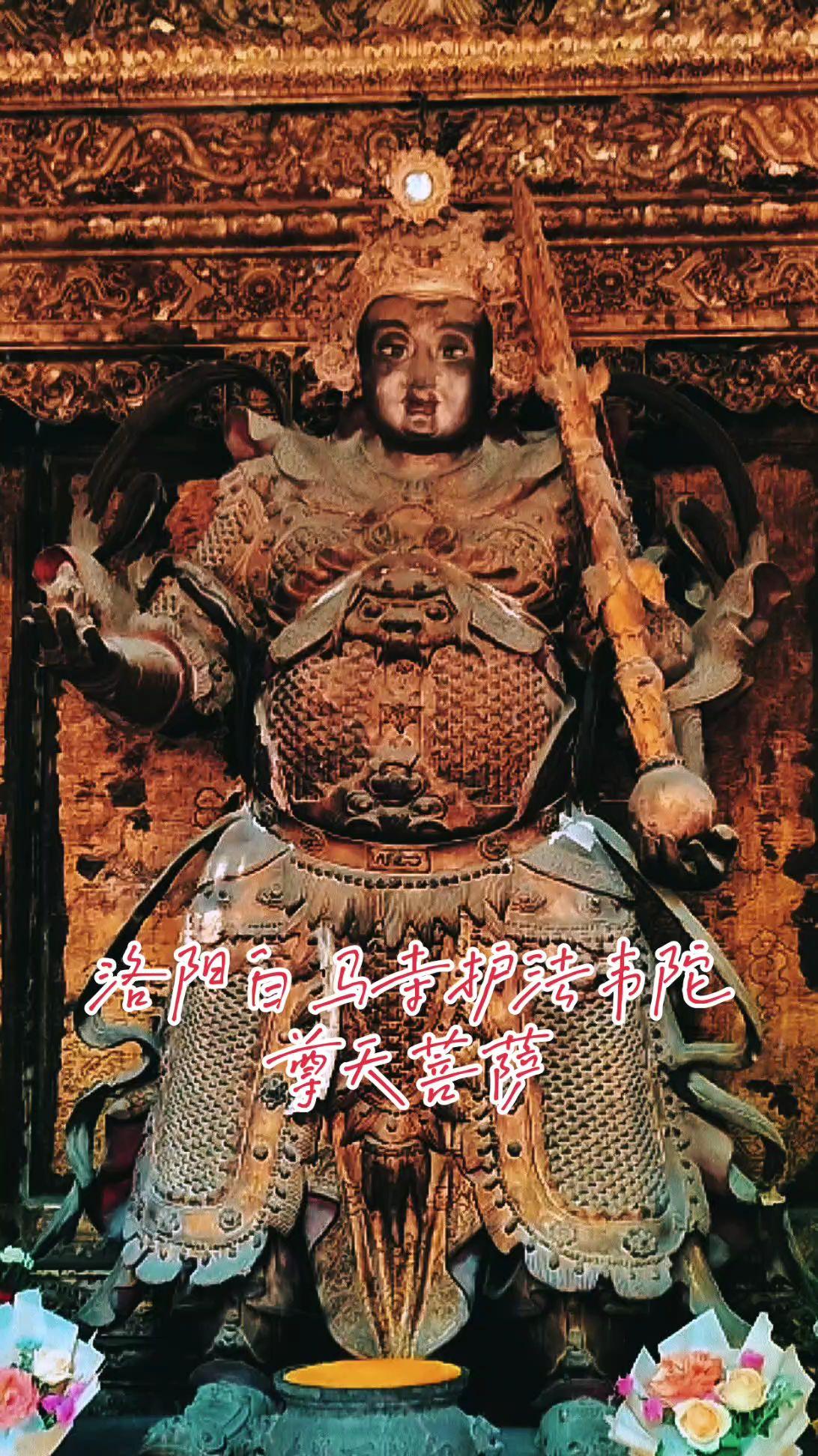洛阳白马寺｜这尊菩萨，藏着古寺最温柔的暗号来白马寺，别只盯着大佛看。天王殿