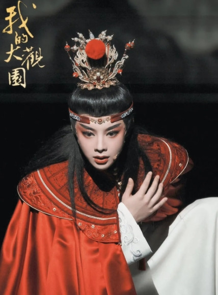 我问同事，为什么陈丽君会被网暴她只是不小心口误而已同事说，这已经不是口误