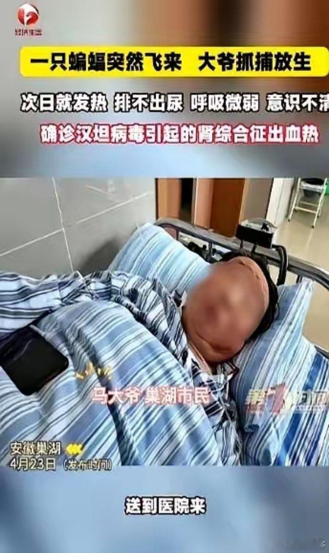 安徽巢湖的吴大爷，就因为一只蝙蝠，摊上大事了。他好心把飞进家里的蝙蝠放生，嘴里还