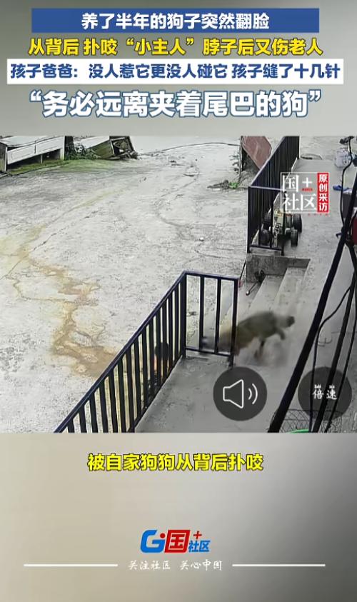 “远离夹着尾巴的狗！”7月21日报道，贵州毕节，一户人家养了半年的狗，走丢了十几