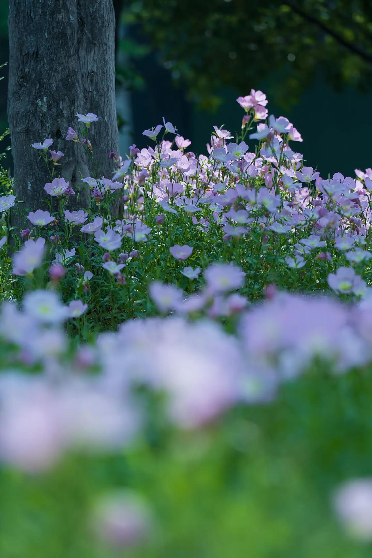 县城教师和省城教师最大的区别不是工作态度，也不是教学能力，最大的区别是认知。其实