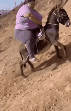 不知道驴会怎么想呢？[捂脸哭][捂脸哭][捂脸哭]