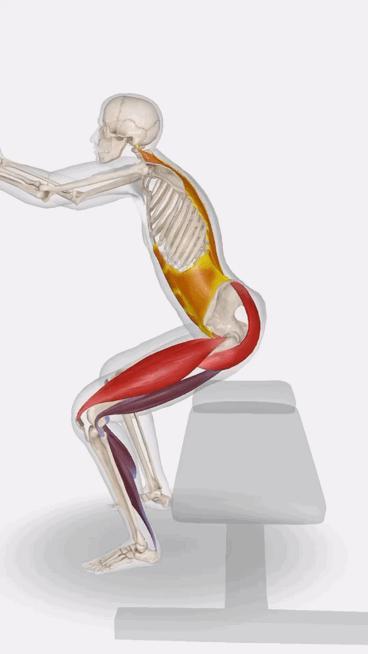 臀部训练继续练屁股尤其总是找不到臀部发力感的朋友，来掌握康复中的常用动作——坐